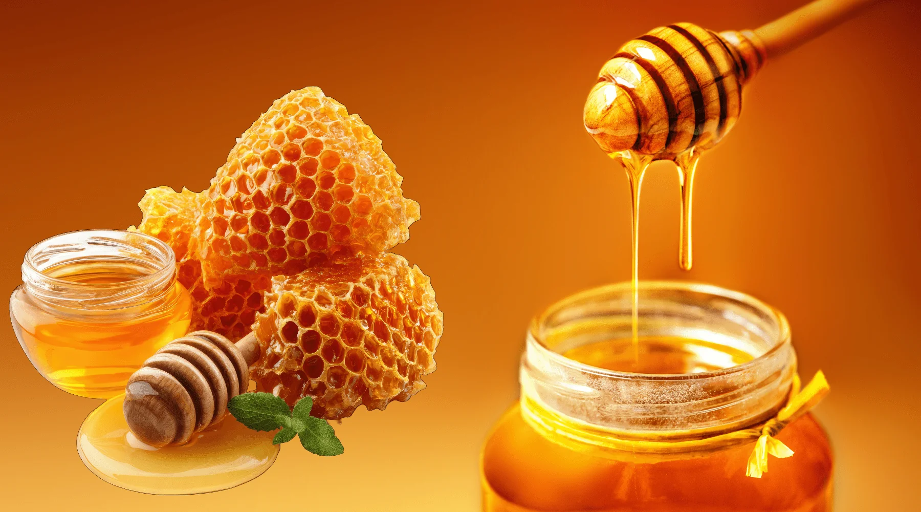 Raw Wild Honey, Foraged by Hand in the Foothills
