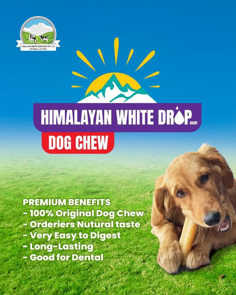 Himalayan White Drop Dog Chew