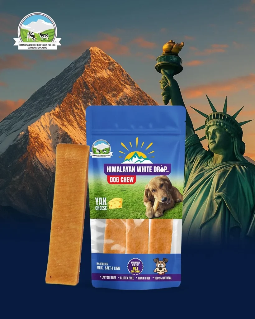 Himalayan White Drop Dog Chew