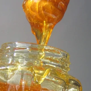 Wild Himalayan Honey