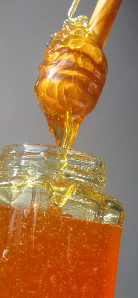 Wild Himalayan Honey